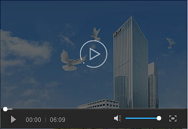 video-name